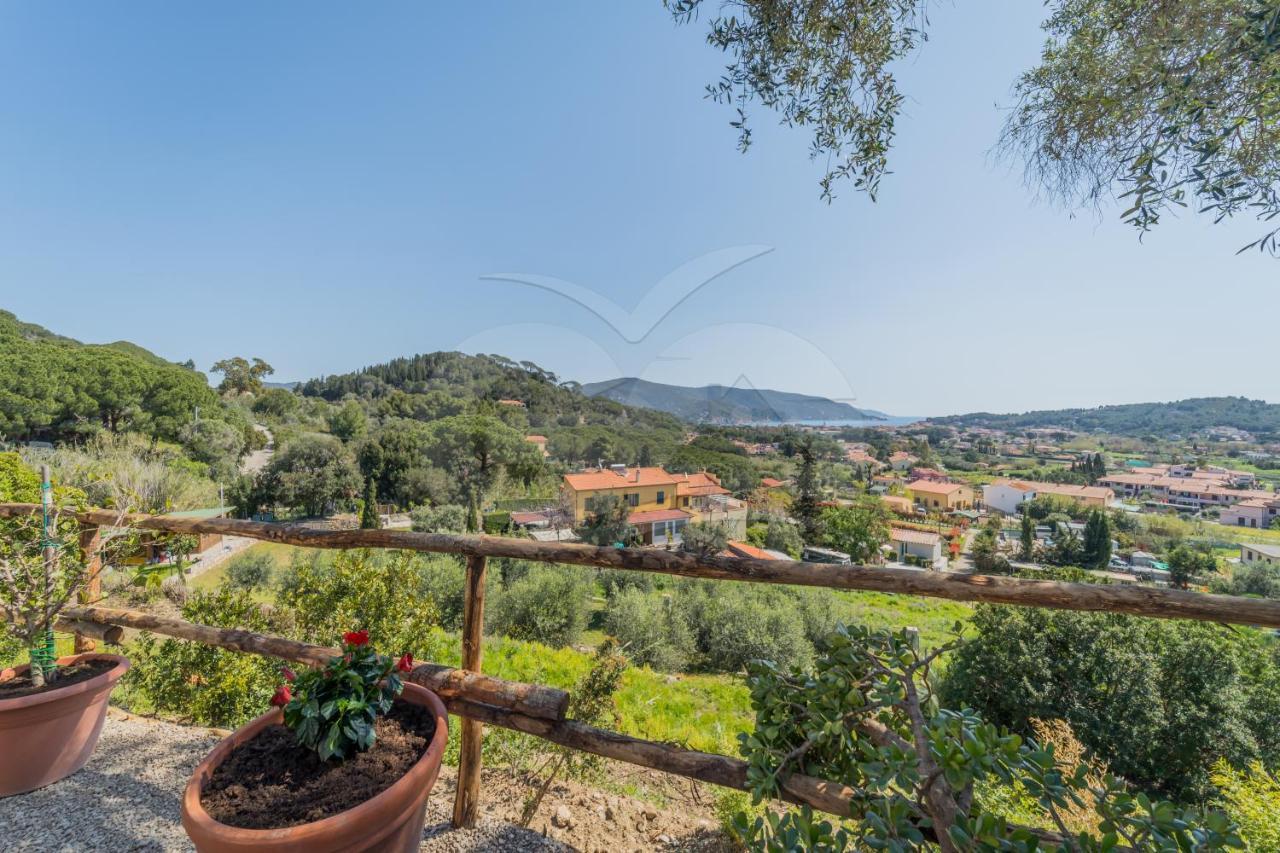 La Palazzina Nel Verde - Goelba Casa Alzi Екстериор снимка