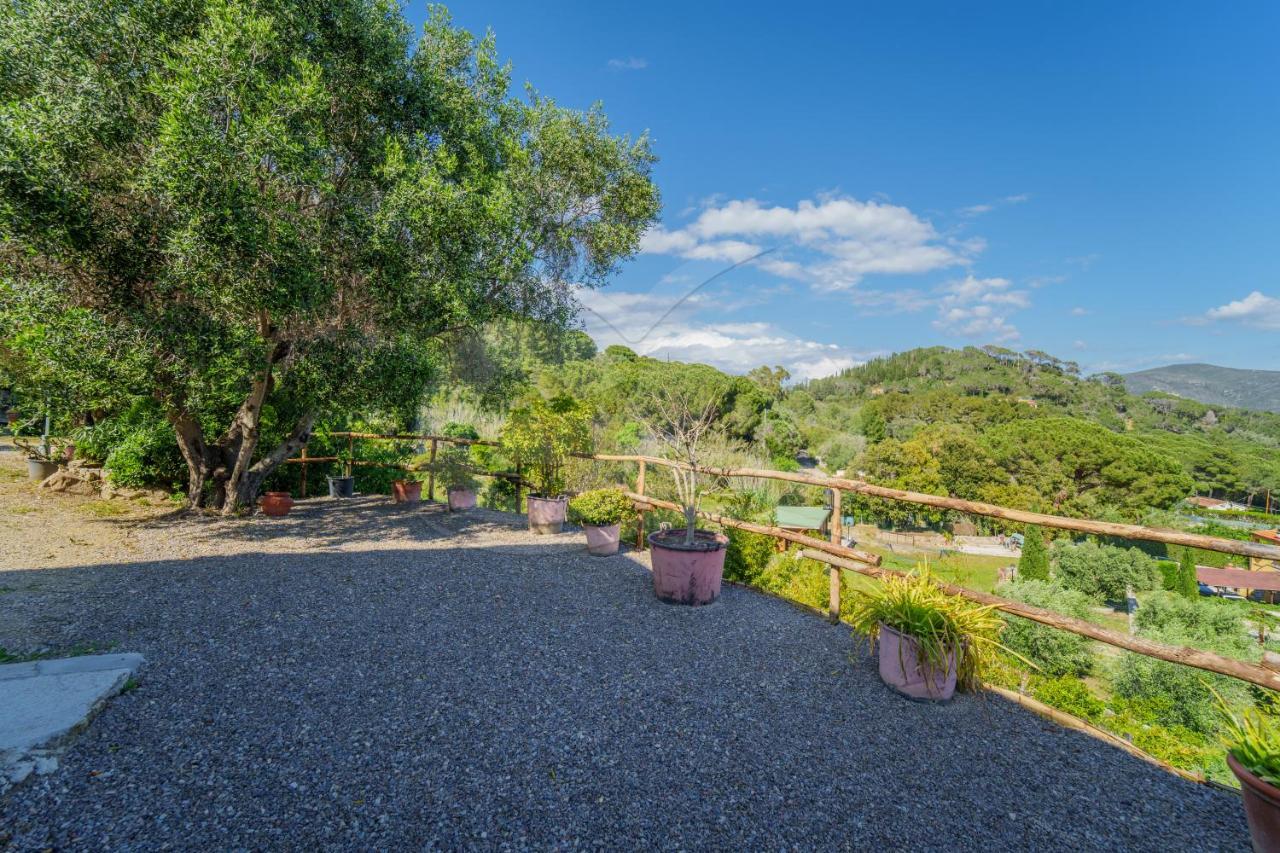 La Palazzina Nel Verde - Goelba Casa Alzi Екстериор снимка