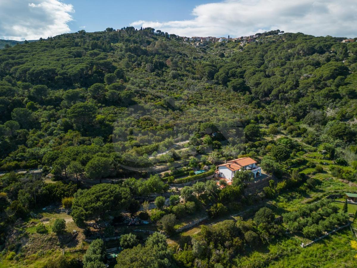 La Palazzina Nel Verde - Goelba Casa Alzi Екстериор снимка